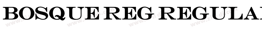 Bosque Reg Regular字体转换